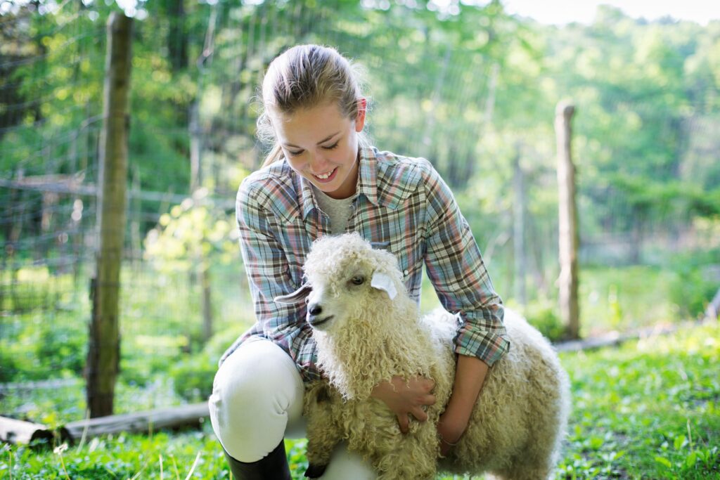 Girl and sheep